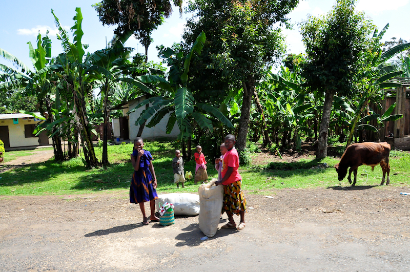 Melanie Heinrich - Travel Images - Nairobi Kenya -Arusha, Tanzania